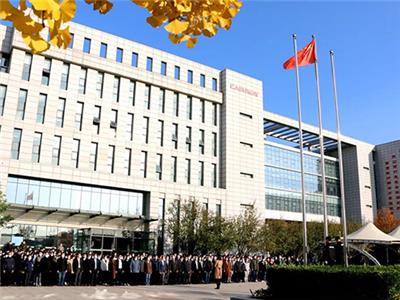 Raise the national flag and teach micro party lessons